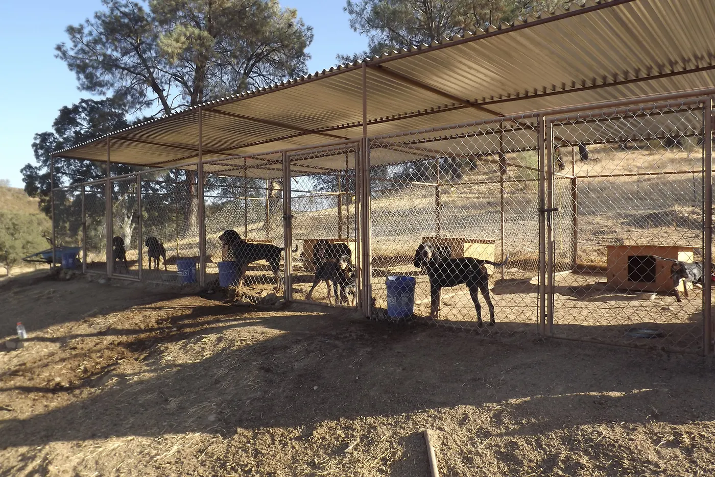 Covered kennel runs