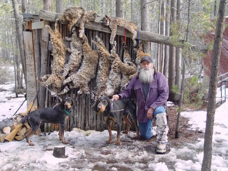 Steve Phipps with his hounds and a string of cats