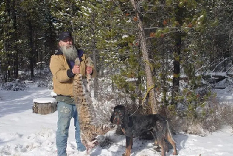 Phipps Bluetick photo 10